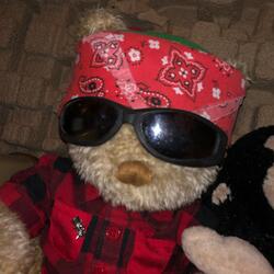 Lost in Rock and Roll