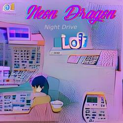Night Drive