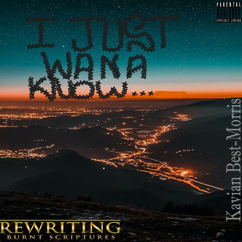 I Just Wana Know