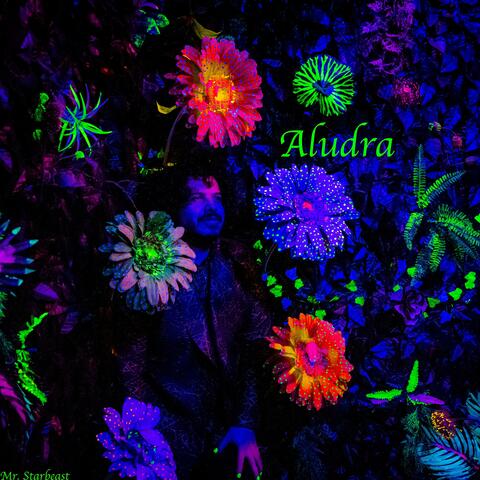 Aludra