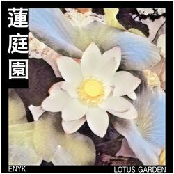 Lotus Garden