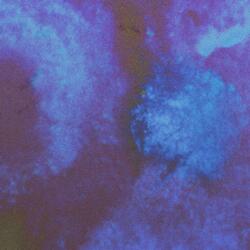 Fragile Mind