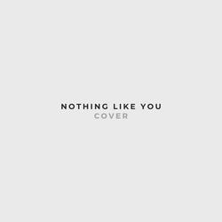 Nothing Like You