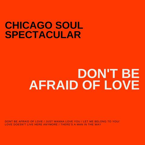 Don't Be Afraid of Love