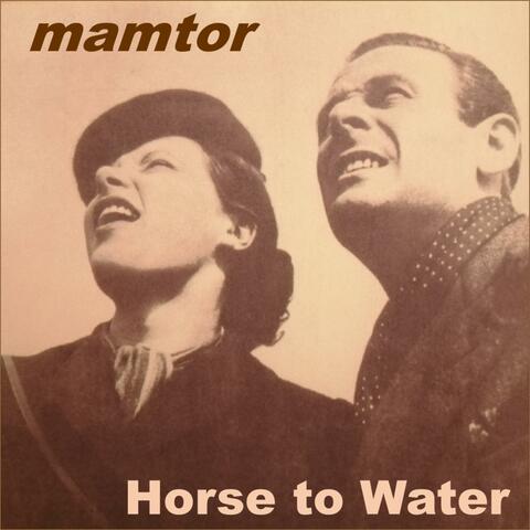 Horse to Water