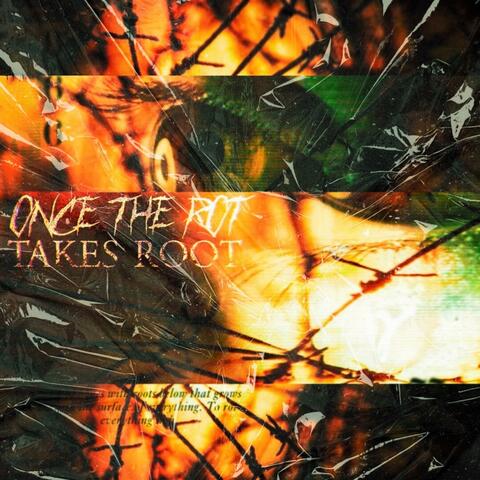Once The Rot Takes Root