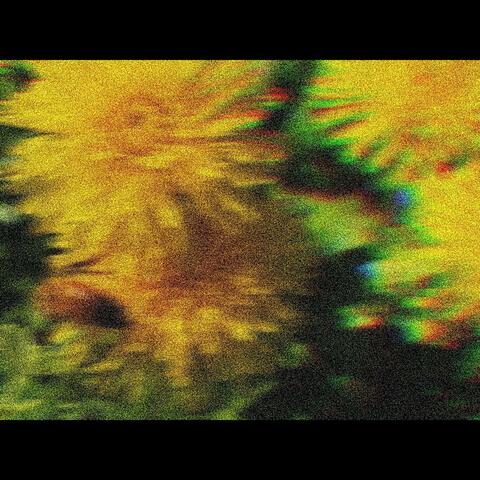 Winter Bloom: Beats to Stream To