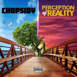 Perception Of Reality