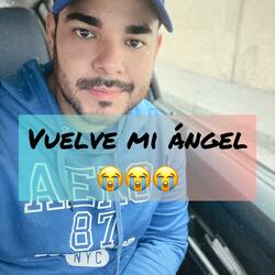 vuelve mi angel