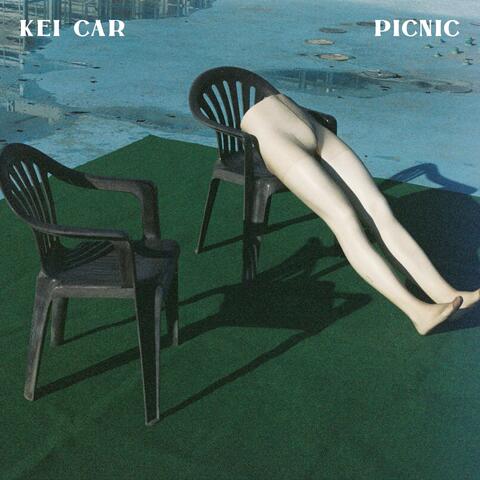 Picnic