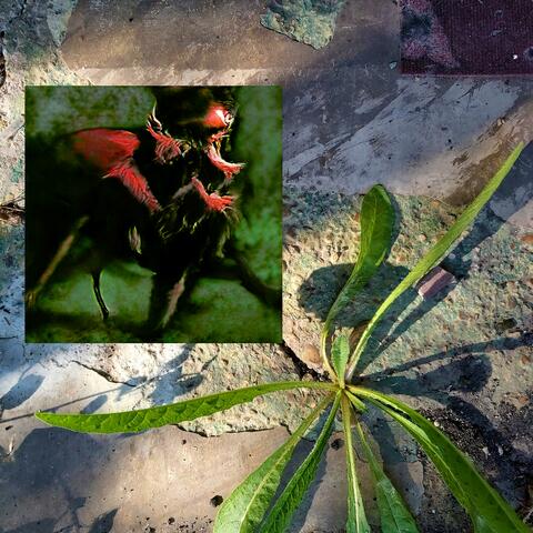 The Imp