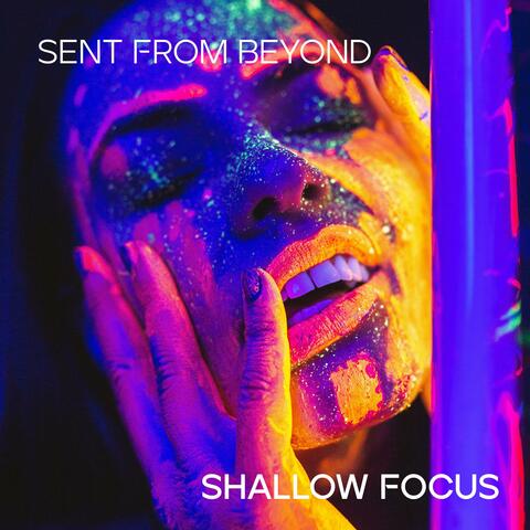 Shallow Focus