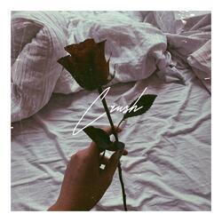 Crush (feat. Papers for Dahlia)