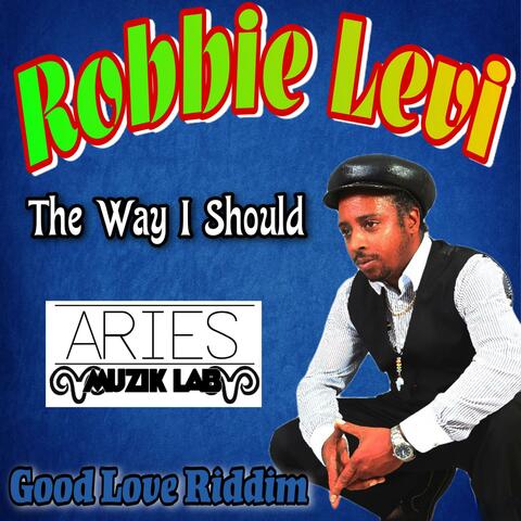 THE WAY I SHOULD..