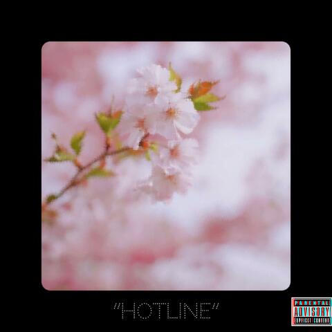 Hotline