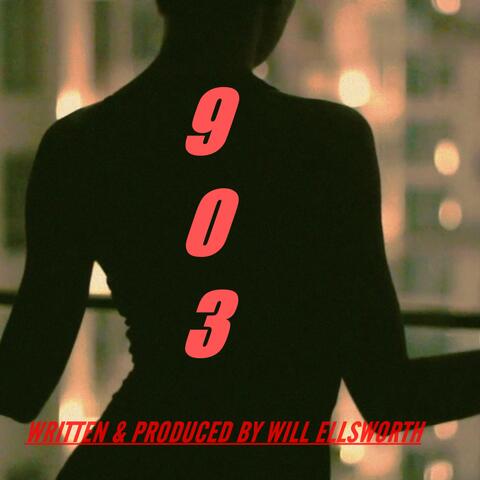 903 (What's It Gonna Be?)