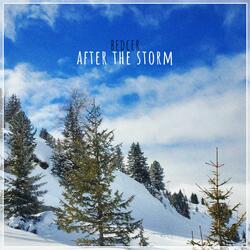 after the storm