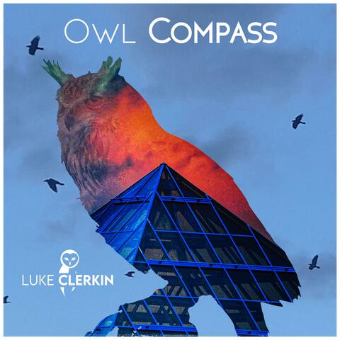 Owl Compass