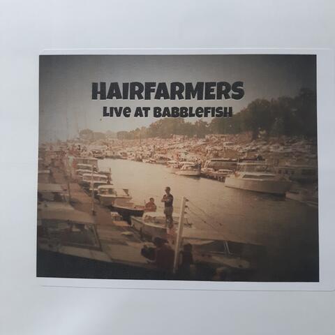 Live At Babblefish