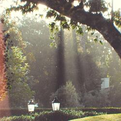 Sunlight