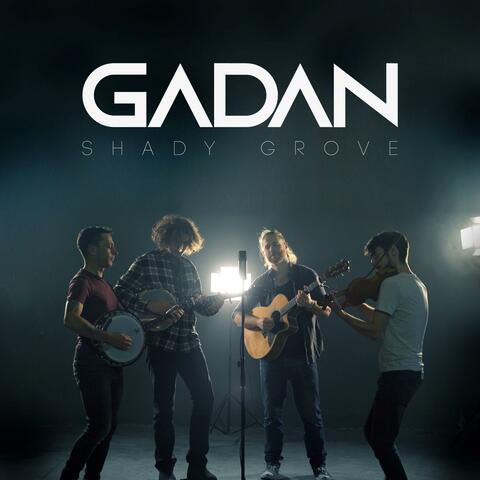 Shady Grove