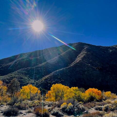 Mojave River