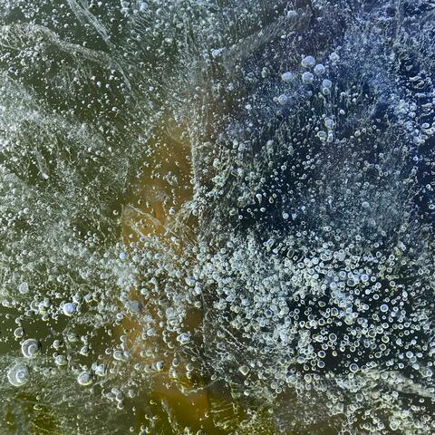 Morning Frost