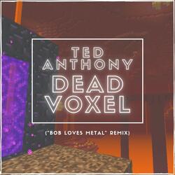 Dead Voxel