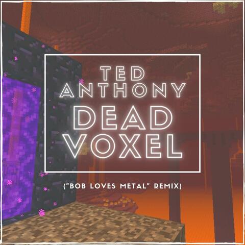 Dead Voxel