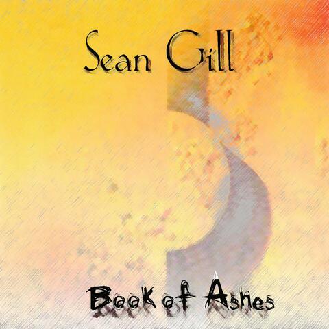 Book Of Ashes