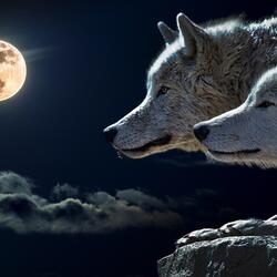 Moonlight (feat. Xavier Benton)