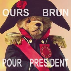 Ours Brun pour President
