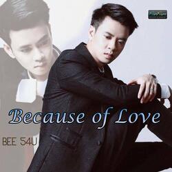 Because of love (Bee 54u)