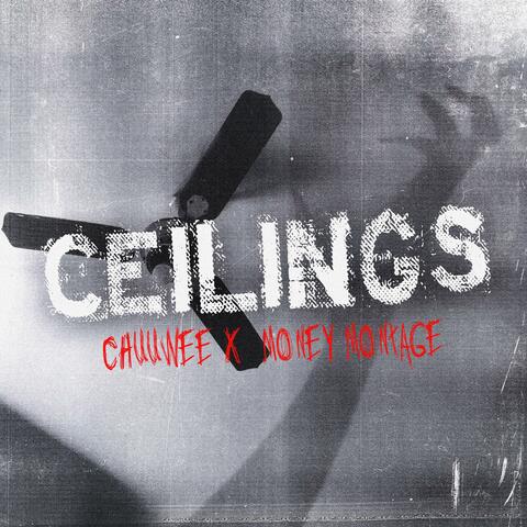 Ceilings