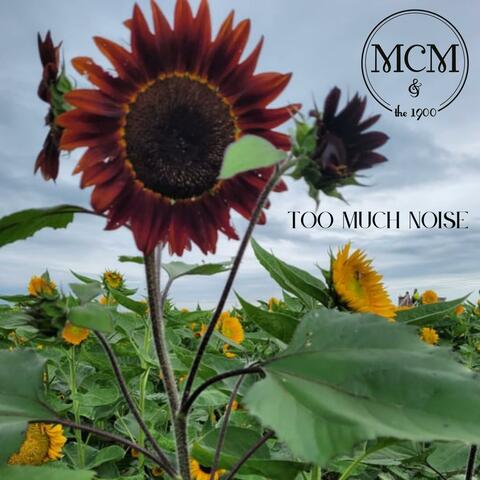 Too Much Noise