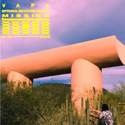 Spring Reverb Impro // MISSING