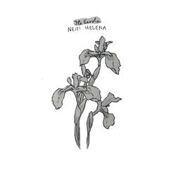 Neiti Helena