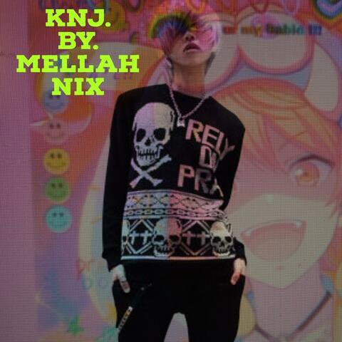 KNJ