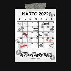 ROTTEN STRAWBERRIES / 14 de marzo (feat. Vngel)