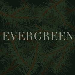 Evergreen