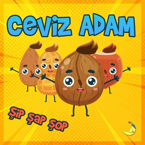 Ceviz Adam Şip Şap Şop