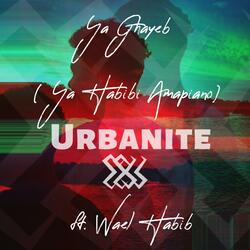 Ya Ghayeb (Ya Habibi Amapiano) (feat. Wael Habib)