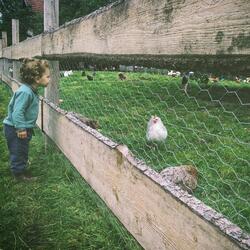 Old McDonald Had a Farm (feat. Baby Nursery Rhymes)