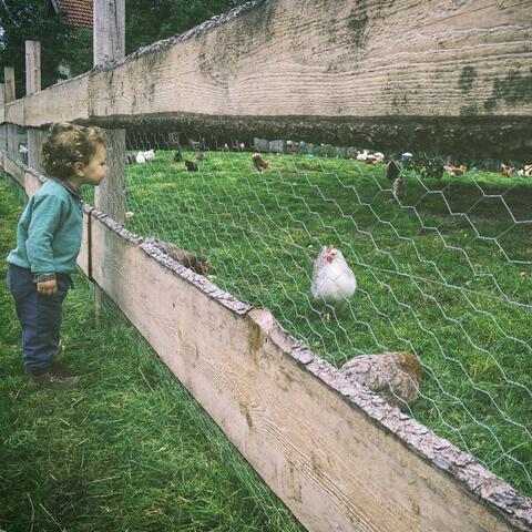 Old McDonald Had a Farm (feat. Baby Nursery Rhymes) [Lullaby]