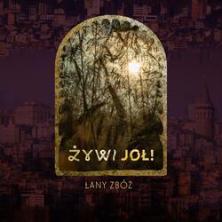 Łany zbóż