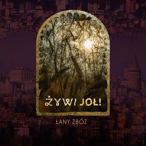 Łany zbóż