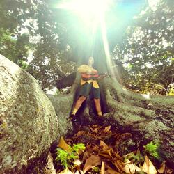 The Sunshine Song
