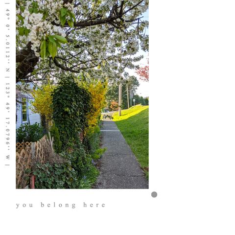you belong here