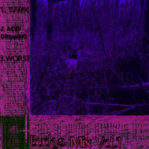 Bucky's Mix Volume 1
