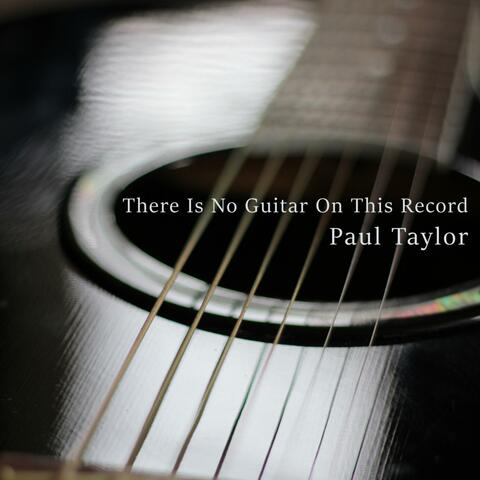 There Is No Guitar On This Record